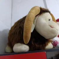 بز بزرگ خارجی