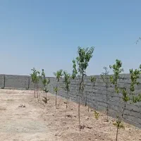 چهار-دیواری-سندتک-برگ-نگهبانی-اقساط