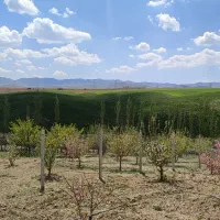 باغشهر گیشا پنج کیلومتری اتوبان زنجانـتبریز