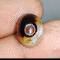 شجر قائن و فیروزه نیشابور و اوپال استرالیا|جواهرات|شیراز, شاهچراغ|دیوار