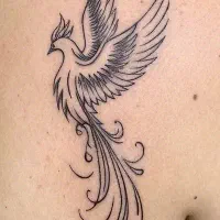 مدل رایگان.تتو.تاتو