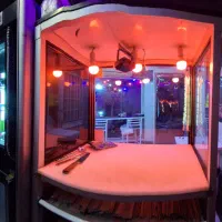 اجاره مغازه باجک