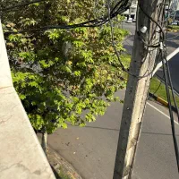 رهن و اجاره واحد اپارتمان نوساز فول