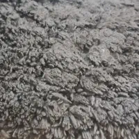 پادری خزدار در حد نو|پادری|رشت, حاجی آباد|دیوار