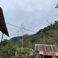 خانه کاه گلی روستای ویو دار گیلان همراه باغ چای|فروش زمین و ملک کلنگی|اطاقور, |دیوار