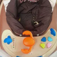 کریر و رورک مارک دلیجان