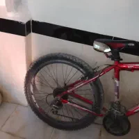 دوچرخه ویوا اصلی|دوچرخه، اسکیت، اسکوتر|مریوان, |دیوار