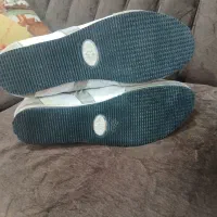 کتونی|کیف، کفش، کمربند|لار, |دیوار