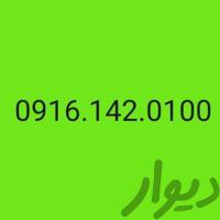 0916.142.0100