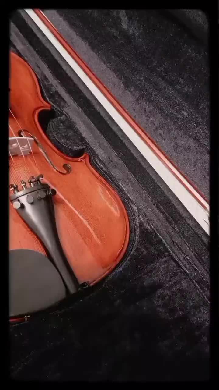 ویولن Amati 200 کاملا نو|ویولن|تهران, پیروزی|دیوار