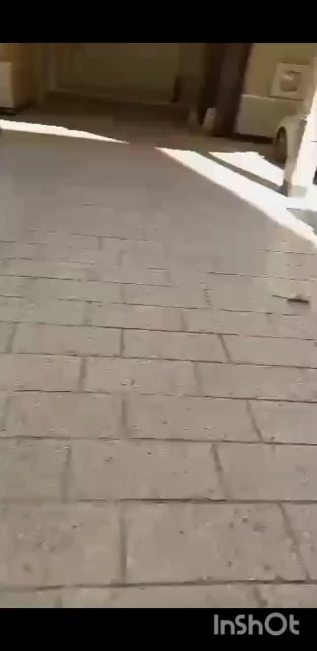 باربری اعزام کارگرحمل اسباب‌کشی جابجای یخچال تخلیه|خدمات حمل و نقل|مشهد, توس (بلوار توس)|دیوار