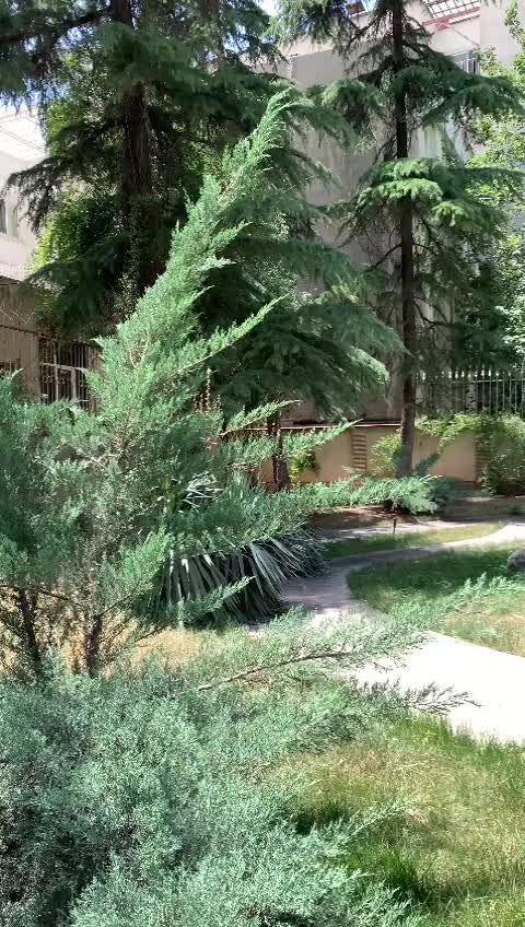 دروس باغ ویلا ۲۰۶۰ متر زمین ۸۰۰ متر بنای آنتیک|فروش خانه و ویلا|تهران, دروس|دیوار