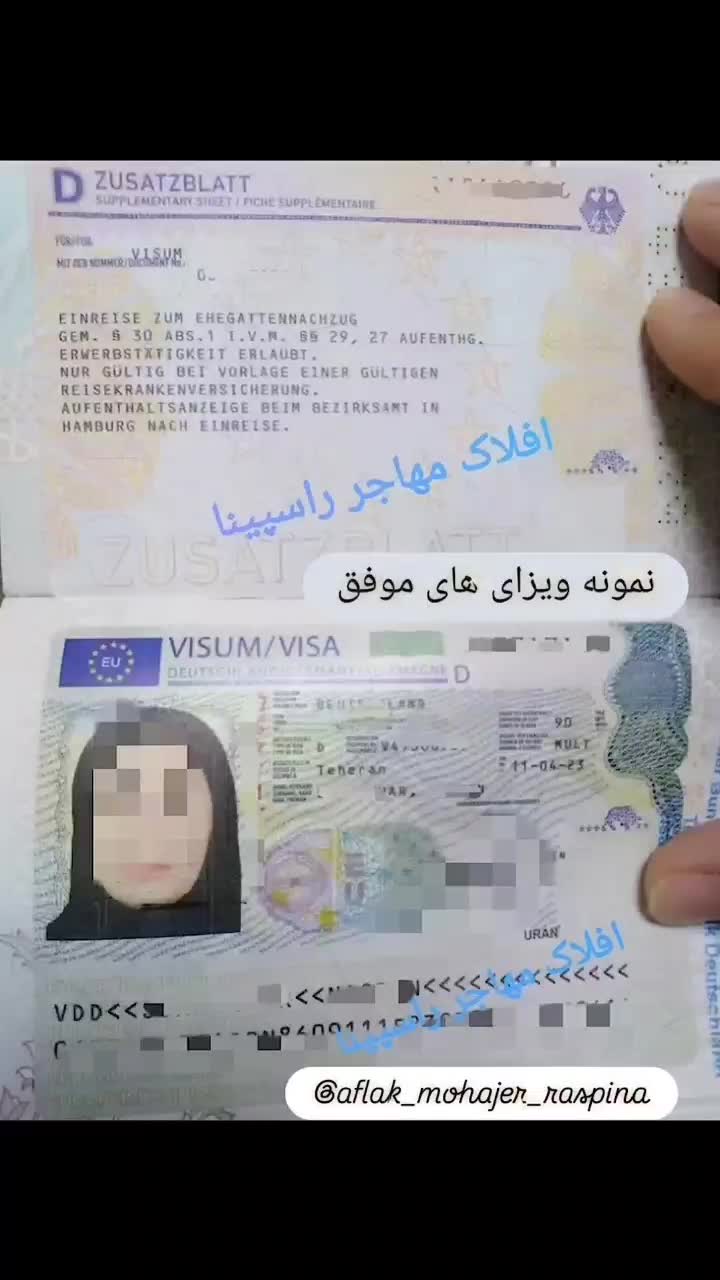 مهاجرت تحصیلی و کاری آسان و مطمئن|خدمات حمل و نقل|شیراز, اصلاح‌نژاد|دیوار