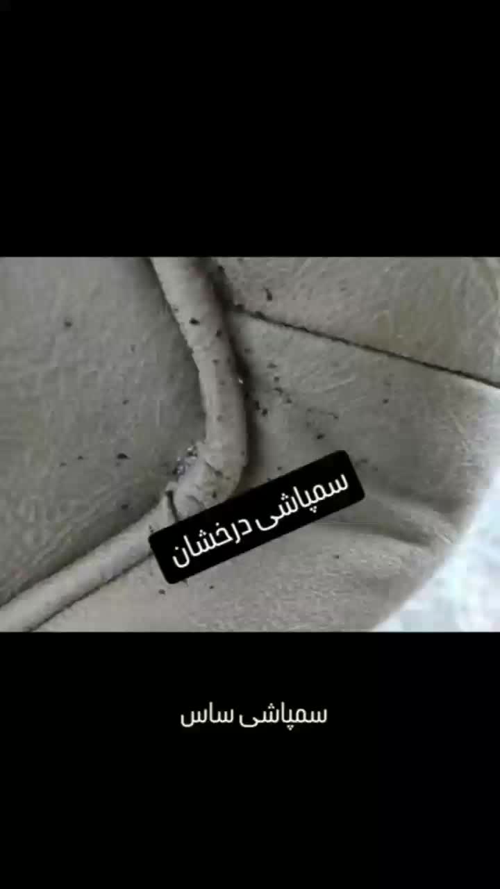 سم پاشی سمپاشی ساس سوسک کنه و تک مرحله ای تضمینی|خدمات نظافت|تهران, صادقیه|دیوار
