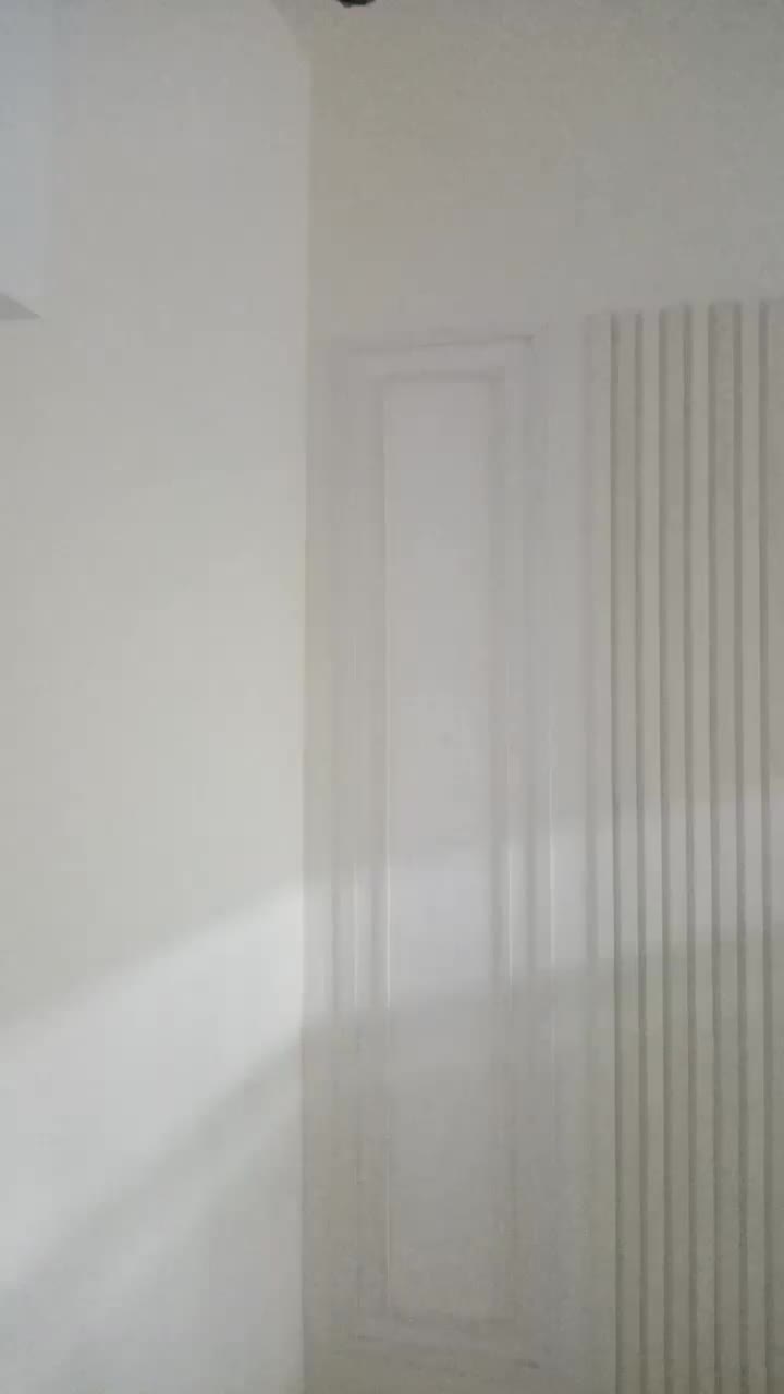 نقاشی ساختمان لکه گیری رنگ پلاستیک روغنی|خدمات پیشه و مهارت|ایلام, |دیوار