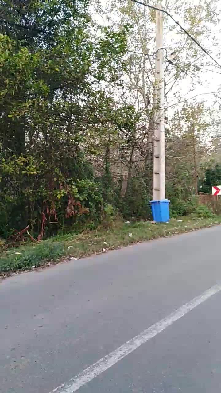 5100متر زمین مسکونی روستایی سند تک برگ|فروش زمین و ملک کلنگی|رضوانشهر, |دیوار