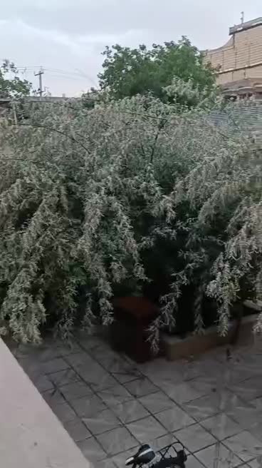 خانه ویلایی مناسب برای زوار و مراسمات|اجارهٔ کوتاه‌مدت ویلا و باغ|مشهد, گاز|دیوار