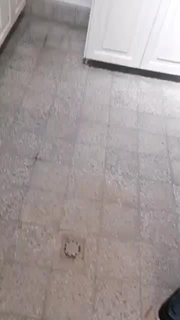 خانه قدیمی بازسازی شده تالار دار کوچه برخوردار|فروش خانه و ویلا|یزد, |دیوار