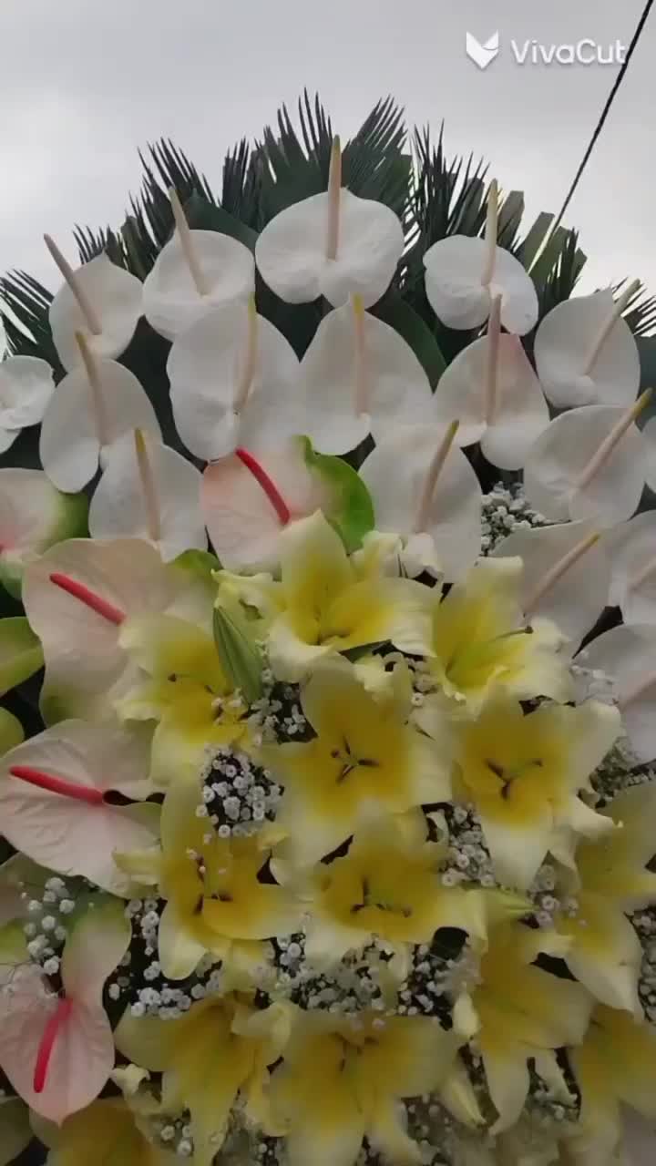 مراسم‌ها مناسب ها ترحیم شادباش تاج گل|گل و گیاه طبیعی|تهران, آهنگ|دیوار