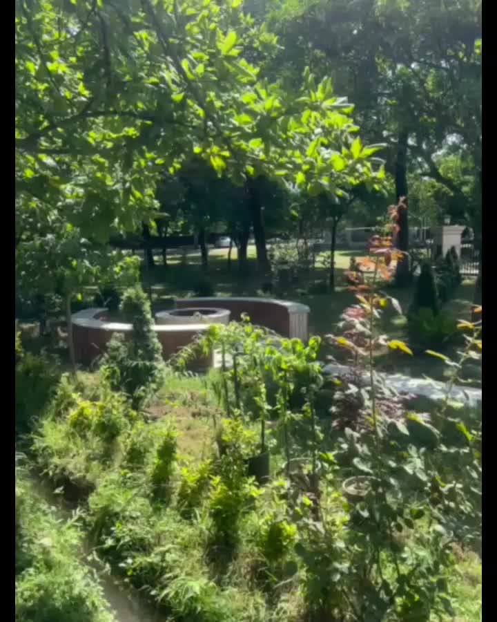 2خواب جنگلی صفا|اجارهٔ کوتاه‌مدت ویلا و باغ|ماسال, |دیوار