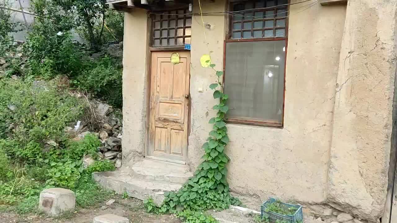 اجاره روزانه/هفتگی/ماهانه آپارتمان ۳۸ متری|اجارهٔ کوتاه‌مدت آپارتمان و سوئیت|ماسوله, |دیوار