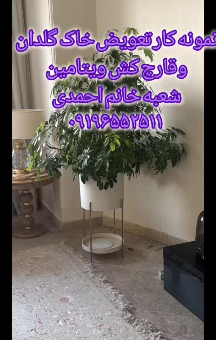 خدمات باغبانی تعویض خاک گل سمپاشی باغچه کاری شخم|خدمات باغبانی و درختکاری|تهران, زعفرانیه|دیوار
