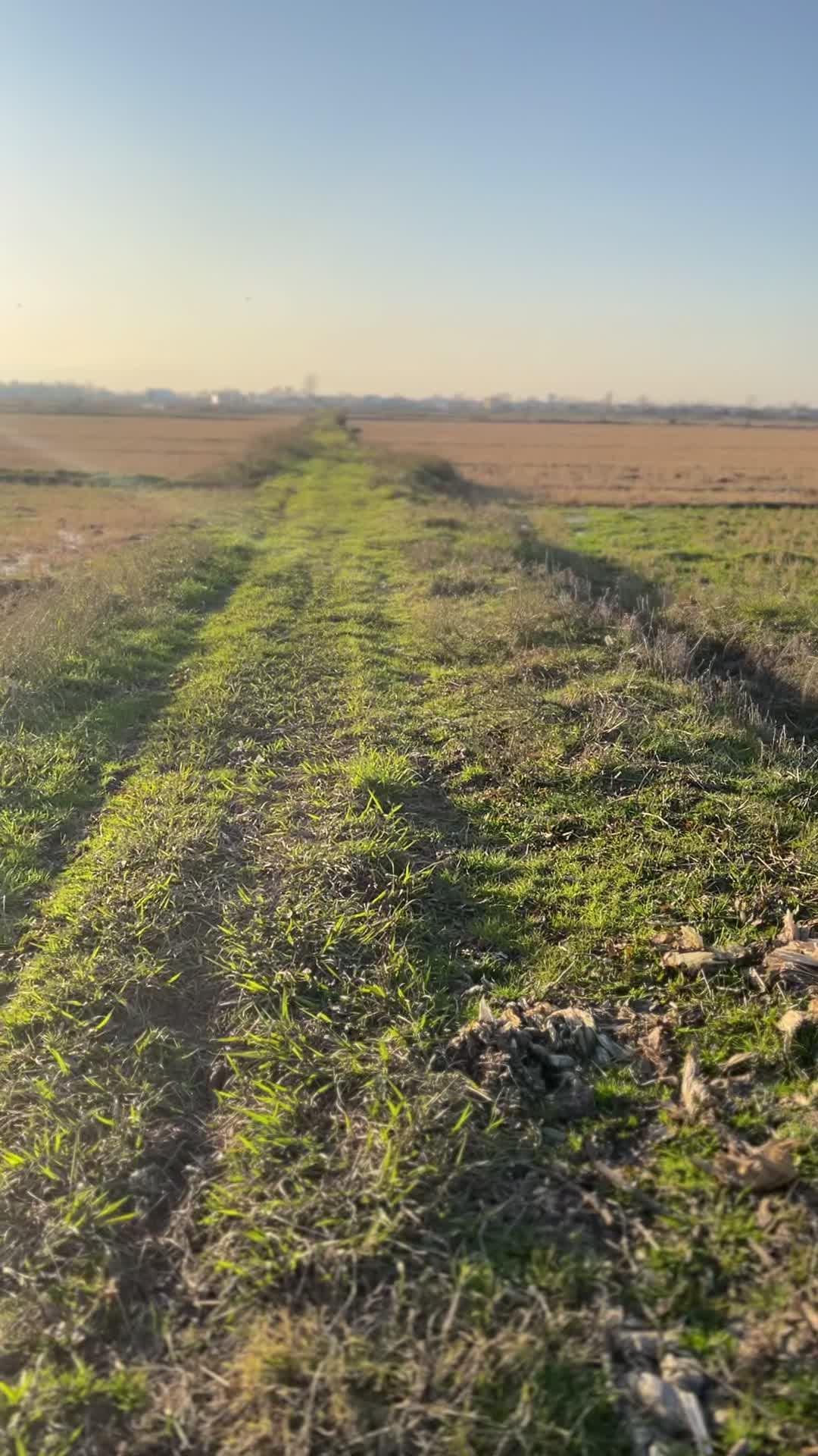 فروش زمین ۲۰۷۵ متری در روستای کوه بنه لاهیجان|فروش زمین و ملک کلنگی|لاهیجان, |دیوار