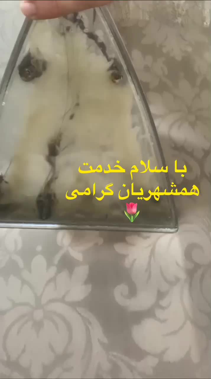 مرکز خدمات مبل شویی همشهری100%درصدتضمینی|خدمات نظافت|ارومیه, |دیوار