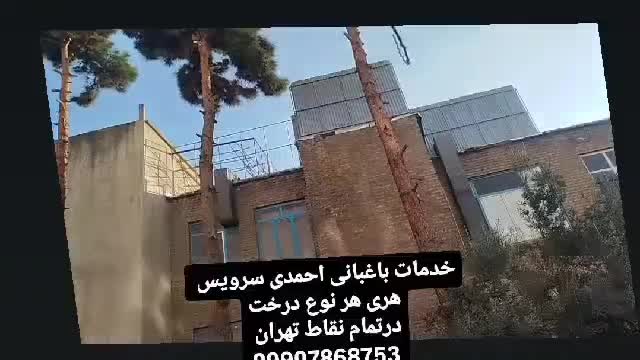 خدمات باغبانی وتعویض خاکگلدون در منزل  وشرکت تهران|خدمات باغبانی و درختکاری|تهران, پاتریس لومومبا|دیوار