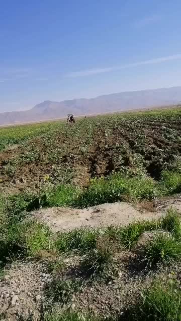 فروش ۱۱ هکتار زمین و ۲ هکتار باغ پسته جاده سروستان|فروش دفتر صنعتی، کشاورزی، تجاری|شیراز, کفترک|دیوار