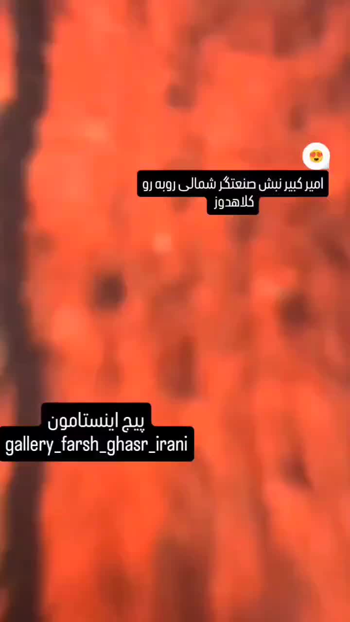 فرش ۱۲۰۰شانه۳۶۰۰تراکم ابریشم|فرش|شیراز, ریشمک|دیوار