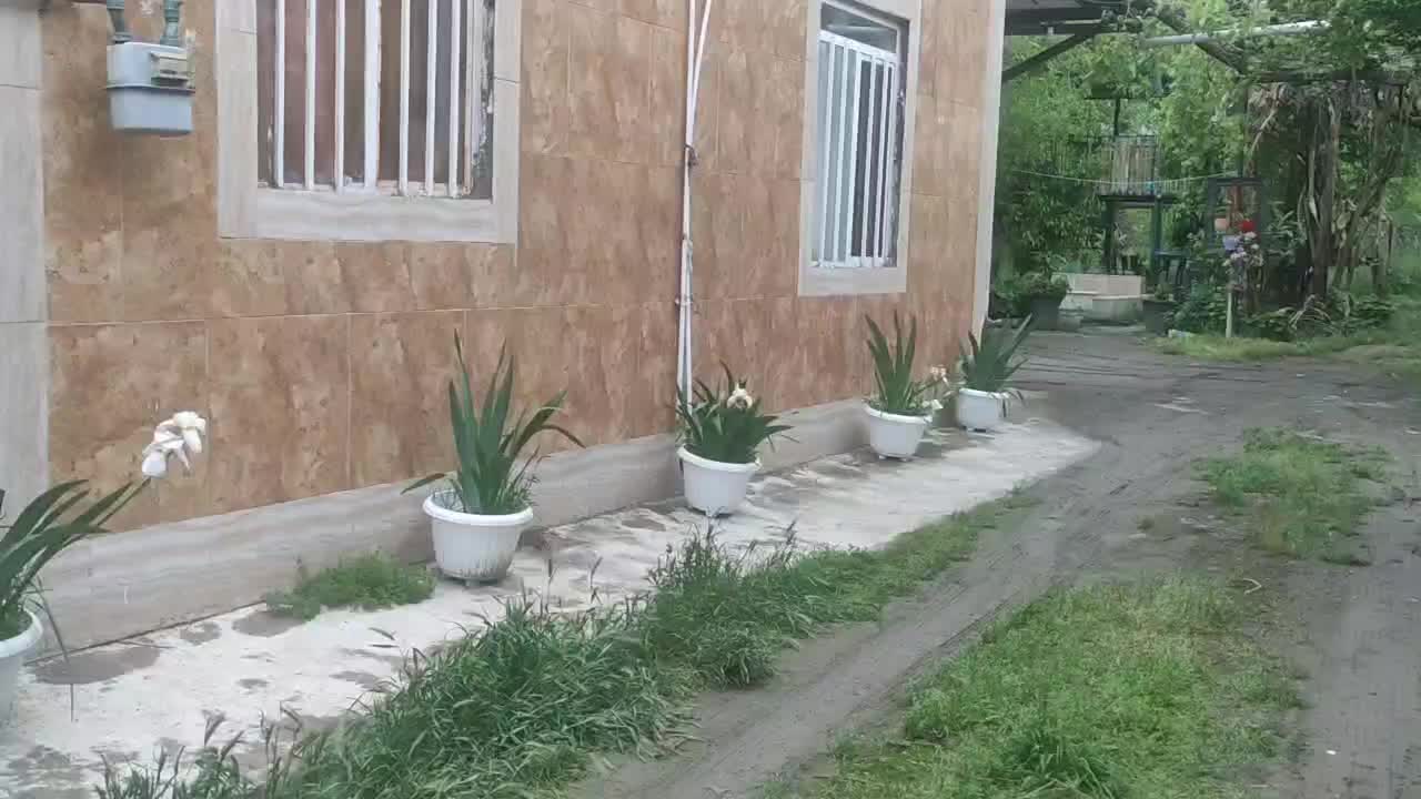 ویلا،خونه باغ روستایی جنگلی|اجارهٔ کوتاه‌مدت ویلا و باغ|گرگان, |دیوار