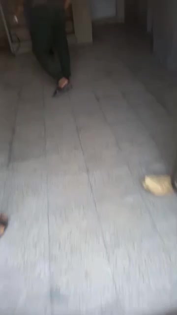 اتوبار +وانت بار +کارگر باربری شبانه روزی|خدمات حمل و نقل|شیراز, عادل آباد|دیوار