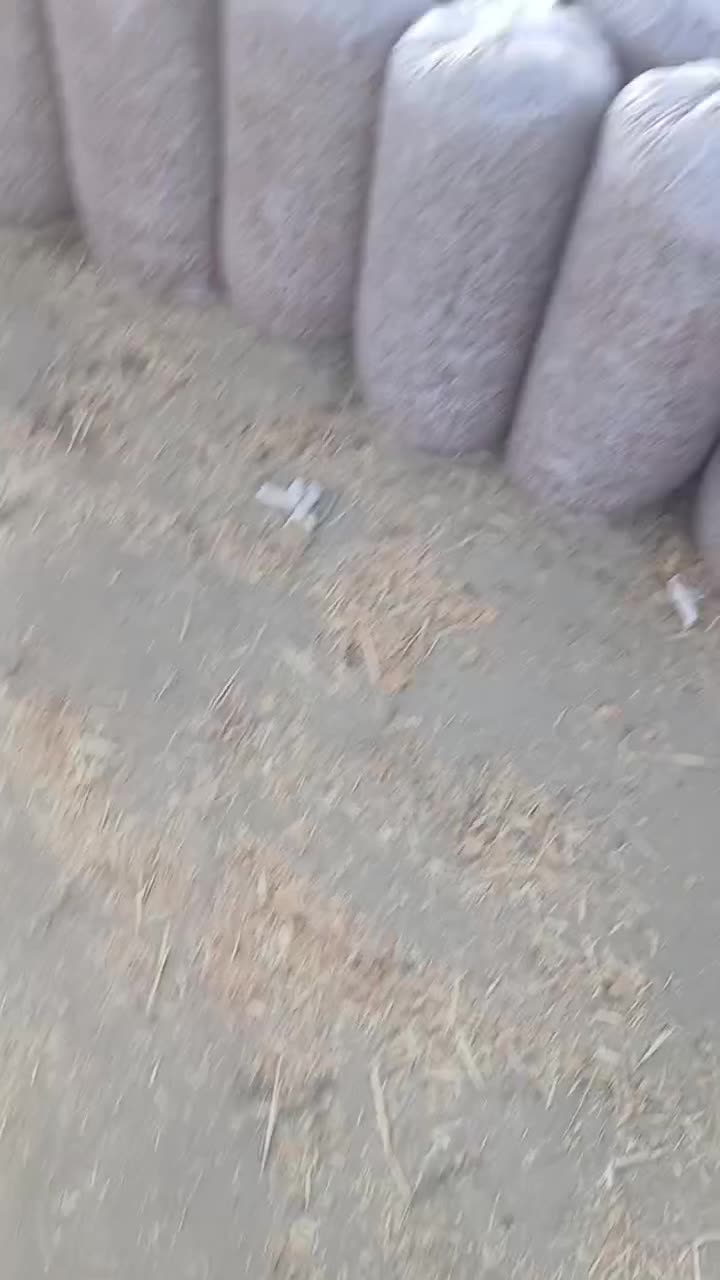 فروش عمده خوراک دام|لوازم جانبی حیوانات|مشهد, آبادگران|دیوار