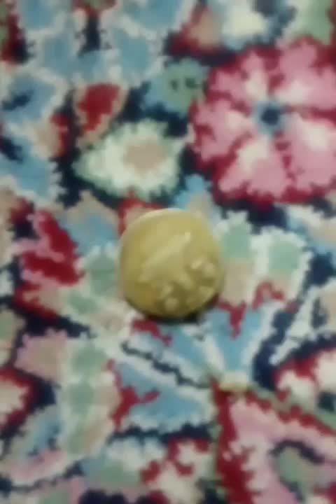 سکه کورش|کلکسیون سکه، تمبر، اسکناس|کرمان, |دیوار