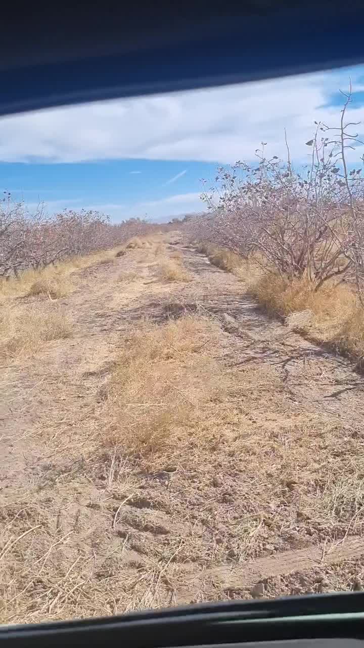 فروش ۲.۵ حبه اب همراه زمین پسته ای|فروش دفتر صنعتی، کشاورزی، تجاری|ماهان, |دیوار