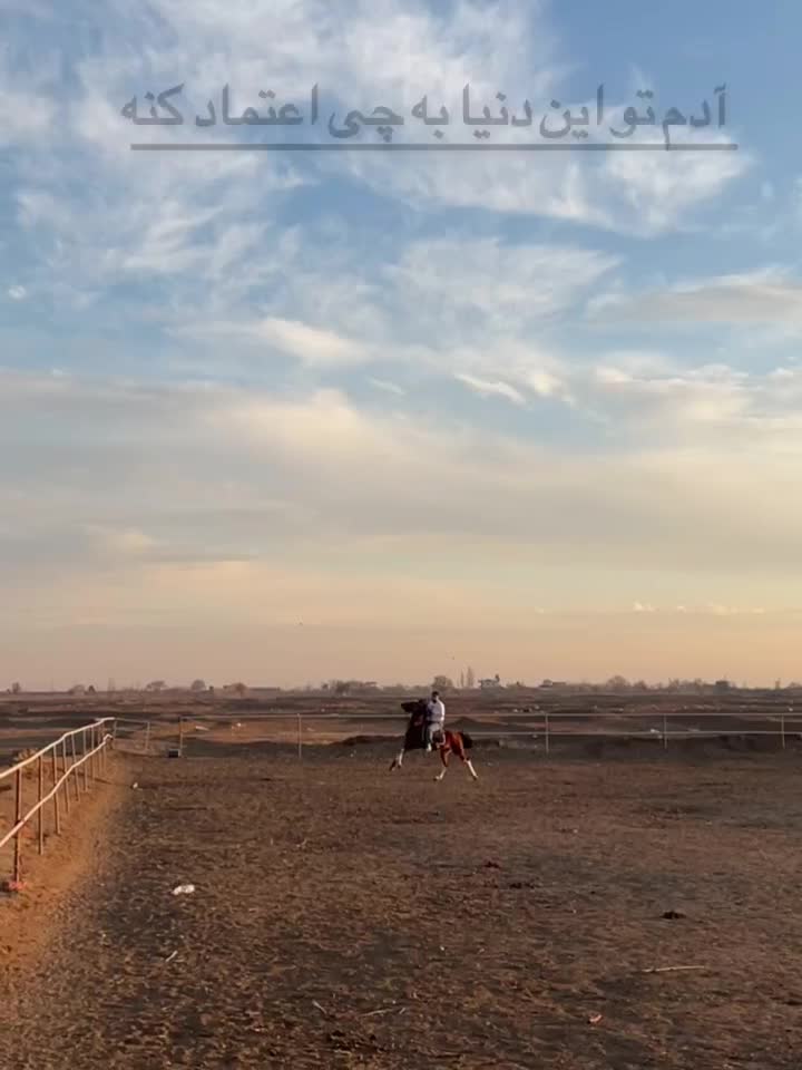 اسب|اسب و تجهیزات اسب‌سواری|تاکستان, |دیوار