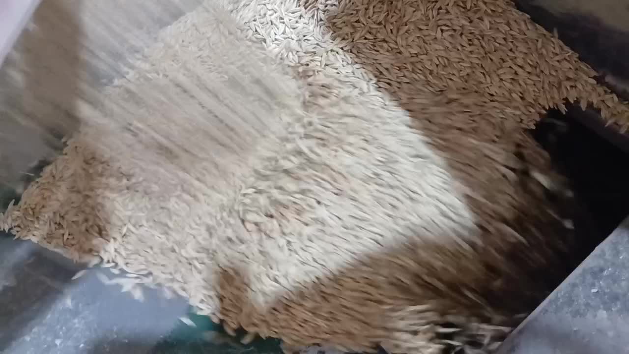 جو آبی بذری|خدمات باغبانی و درختکاری|بروجرد, |دیوار