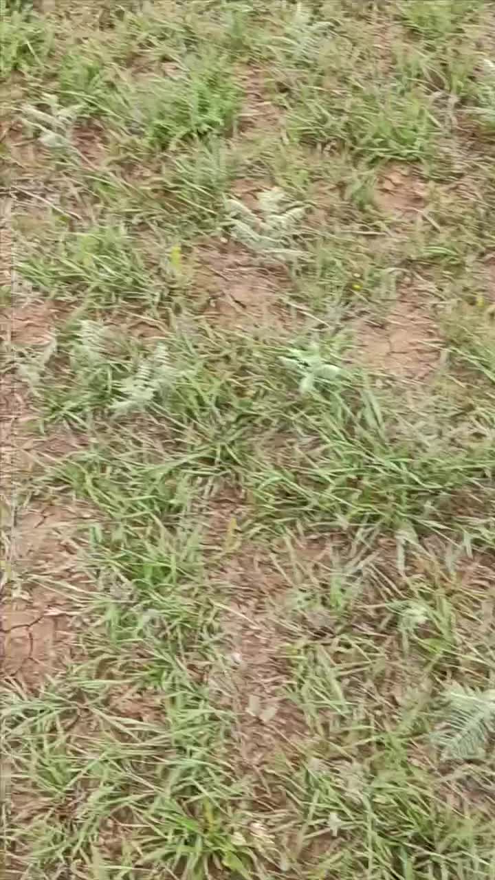 ۲۸۳۰ متر زمین با انشعابات معاوضه با ماشین یا واحد|فروش زمین و ملک کلنگی|طالقان, |دیوار