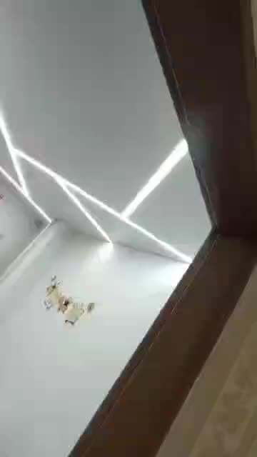 مجری انواع سقف های کشسان|خدمات پیشه و مهارت|رشت, حمیدیان|دیوار