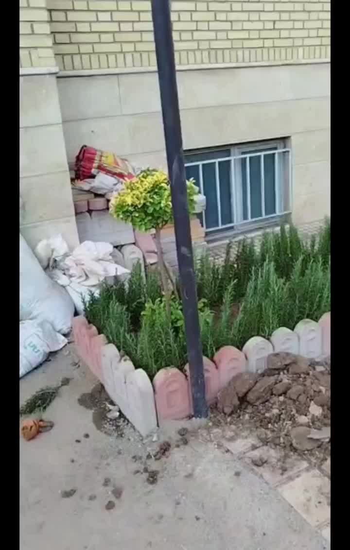 باغبانی باغچه کاری تعویض خاک گلدان در محل|خدمات باغبانی و درختکاری|تهران, ستارخان|دیوار