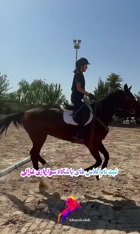 آموزش سوارکاری اسب سواری|خدمات آموزشی|تهران, شهرک غزالی|دیوار