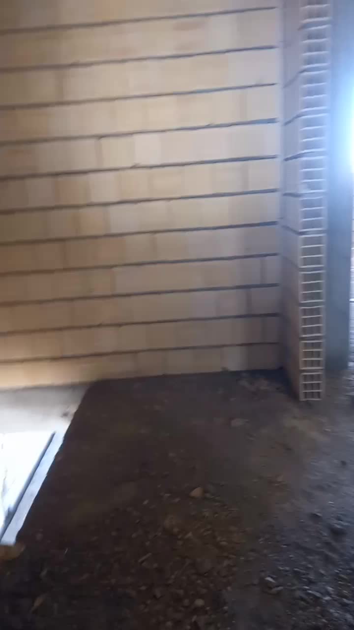 بنای ساختمان|خدمات پیشه و مهارت|لار, |دیوار