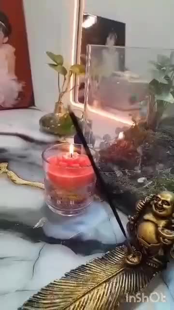 تراریوم با گیاه و خزه طبیعی|گل و گیاه طبیعی|مرودشت, فرهنگ|دیوار