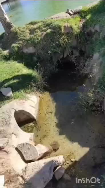 زمین کشاوری ۳۵ هکتار|فروش دفتر صنعتی، کشاورزی، تجاری|دهج, |دیوار