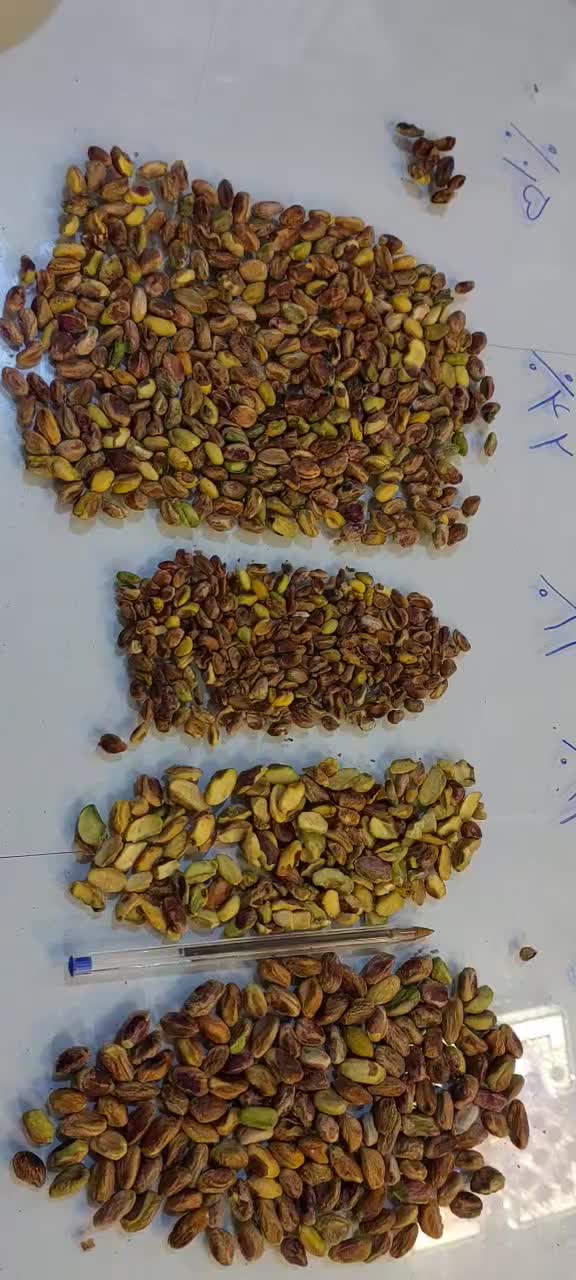 مغز پسته تناژ|عمدهفروشی|ابرکوه, |دیوار