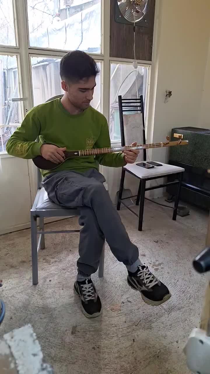 سه تار حرفه ای|سازهای سنتی|تویسرکان, |دیوار