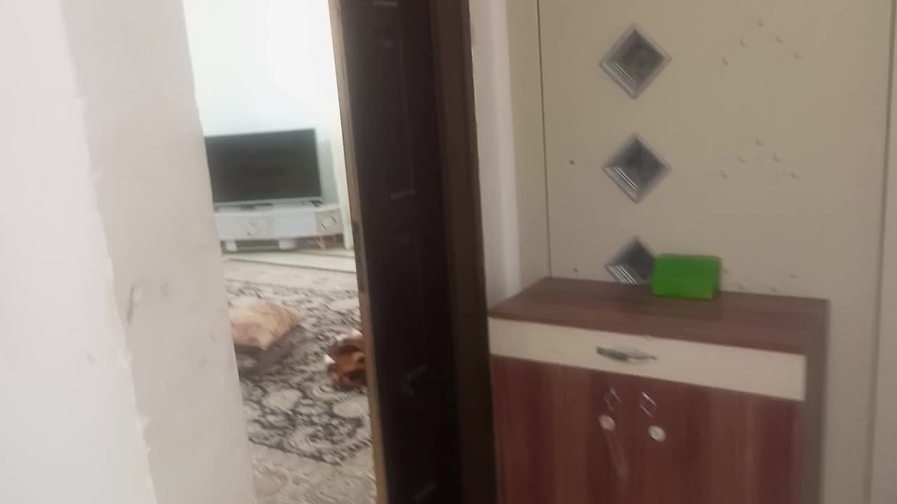 فروش فوری یا معاوضه با ویلایی|فروش آپارتمان|قوچان, |دیوار