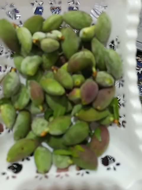 چاقاله|خوردنی و آشامیدنی|کرانی, |دیوار