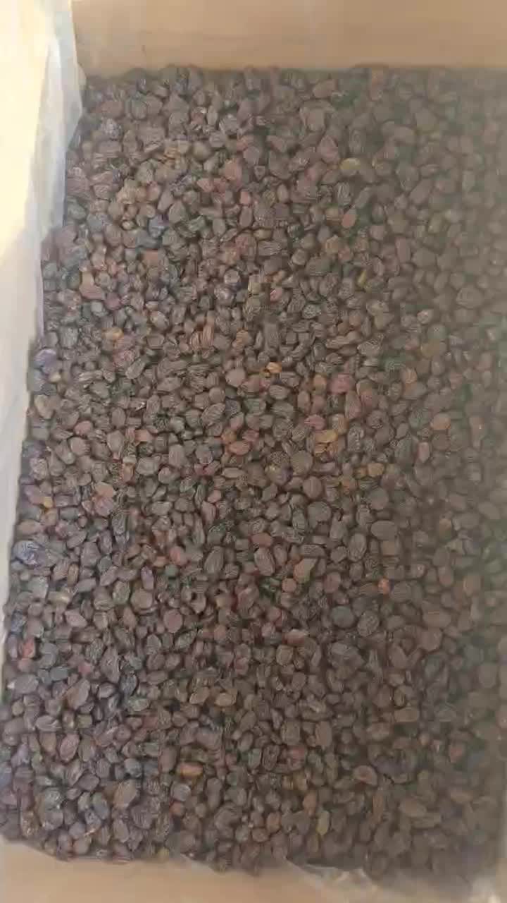 کشمش پلویی آفتاب خشک|خوردنی و آشامیدنی|تاکستان, |دیوار